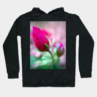 Budding Beauty Hoodie